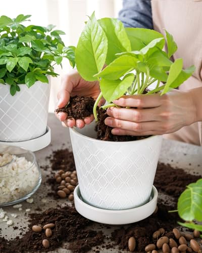 EFISPSS Flower Planter –5 inch Ceramic Plant Pots with Drainage Holes and Ceramic Tray - Gardening Home Desktop Office Windowsill Decoration Gift Set of 4 - Plants NOT Included (White) - color: White