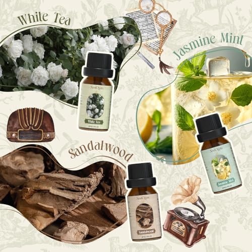 Soulorigin Hotel Fragrance Oils Set, Essential Oil Gift Set for Diffuser, Hotel Scent Diffuser Oil, Diffuser Scents Oil for Home, White Tea, Jasmine Mint, Sandalwood, Luxury Night, Seaside, Myway - color: Hotel