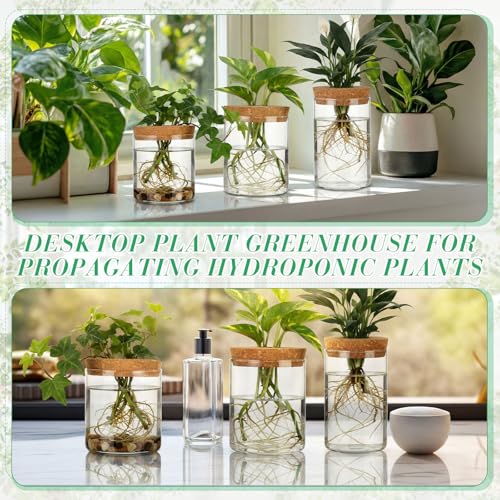 6 Pcs Glass Plant Propagation Stations (2 Large + 2 Medium + 2 Small) Hydroponic Flower Vases Desktop Plant Terrarium Jar for Cuttings, for Living Room, Bedroom, Home Decoration