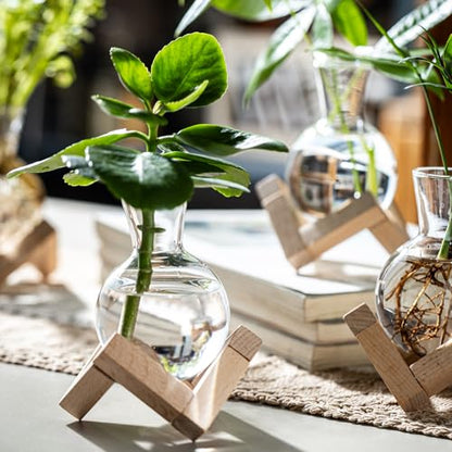 Propagation Stations, Propagation vases with Wooden Stand, Small Tabletop Glass Bulb Vases for Hydroponics Plant Propagation Station Home Office Decoration, Gift for Women Plant Lovers (2)