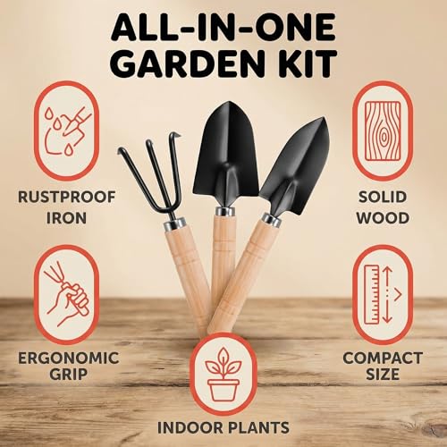 3PCS Small Garden Tools Set - Mini Garden Tools Set with Trowel, Shovel & Hand Rake Made of Rust-Resistant Iron & Solid Wood for Indoor Plants, Succulents, Potting & Repotting