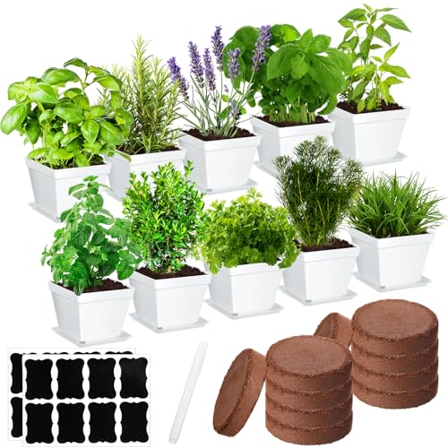 Ripeng 10 Set Indoor Herb Garden Starter Kit, Herb Growing Kit with Pots, Nutritional Soil, Plant Markers, Kitchen Window Planter, Gardening Gift for Women Men Indoor Outdoor