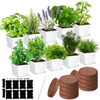 Ripeng 10 Set Indoor Herb Garden Starter Kit, Herb Growing Kit with Pots, Nutritional Soil, Plant Markers, Kitchen Window Planter, Gardening Gift for Women Men Indoor Outdoor