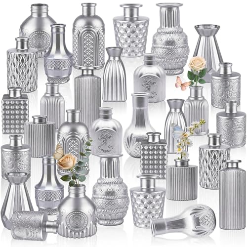 32 PCS Assorted Vintage Bud Vases, Colorful Glass Small Vases Bulk, for Centerpieces, Wedding Table Decor, Home Decorations & Gifts (Silver Srires) - color: Mattsilver-2, size: 32PCS