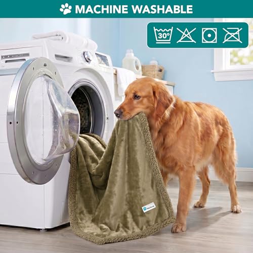 PetAmi Dog Blanket Small Medium Pet Cat Puppy Kitten, 40x29, Solid Taupe | 460 GSM, Soft Sherpa Fleece Throw, Reversible Plush Couch Cover Protector Crate Carrier Sofa Bed Car Seat, Machine Washable - color: Taupe/Taupe Sherpa, size: Medium - 29 X 40 Inch