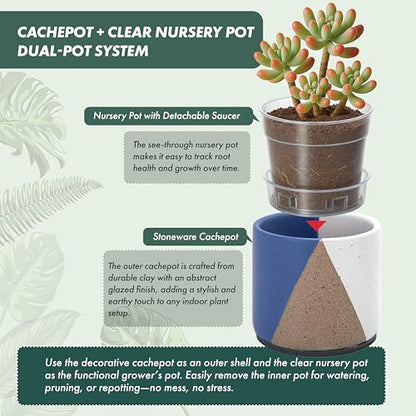 D'vine Dev 2-Pack Cachepot with Clear Pot, 3.5 in, Cobalt Canyon, 93-V-A-3 | Dual-Pot System, Root Visibility, Bottom Watering Support, Enhanced Drainage, Artistic Stoneware Design, Easy Plant Care - color: Cobalt Canyon, size: 3.5” Cachepot + 3“ Clear Gr