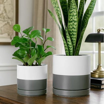 D'vine Dev 2-Pack Ceramic Pots with Saucers, 6/8 in, White/Grey, 94-G-M-6 | Glazed Ceramic, Drainage Hole, Perfect-Fit Saucer, Sleek Cylinder Shape, High Temperature Fired, Elegant Home Accent - color: White/Speckled Grey, size: Medium