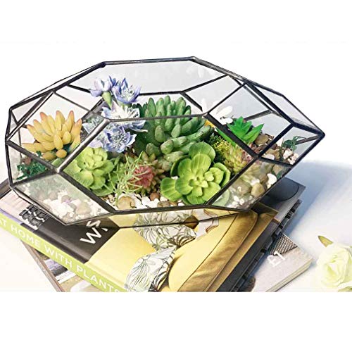 Ferris Island Handmade Glass Home Geometric Glass Succulent Flowerpot | Ideal for succulents, air plants, moss, mini ferns, and DIY terrarium arrangements with natural decorative accents. - size: 5.9"L x 11"W x 6.5"H