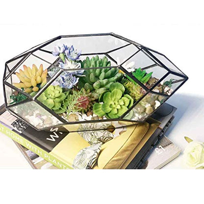 Ferris Island Handmade Glass Home Geometric Glass Succulent Flowerpot | Ideal for succulents, air plants, moss, mini ferns, and DIY terrarium arrangements with natural decorative accents. - size: 5.9"L x 11"W x 6.5"H