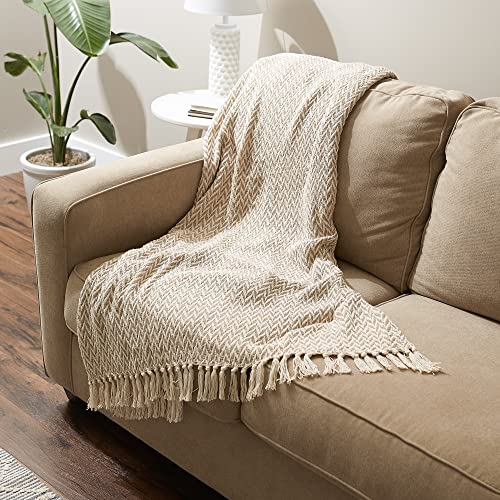 DII Modern Zig Zag Throw Blanket Woven Cotton, Hand-Knotted 2.5" Fringe, 50x60, Stone - color: Stone, size: 50x60"