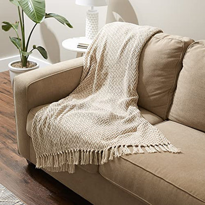 DII Modern Zig Zag Throw Blanket Woven Cotton, Hand-Knotted 2.5" Fringe, 50x60, Stone - color: Stone, size: 50x60"