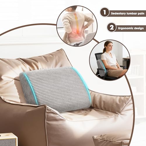 Large Lumbar Cushion Lumbar Support Pillow, Ergonomic Lumbar Pillow with Machine Washable, Help Relieve Pain of Back, Lumbar, Tailbone and Sciatic Nerve Support. (Dark Grey) - color: Dark Grey