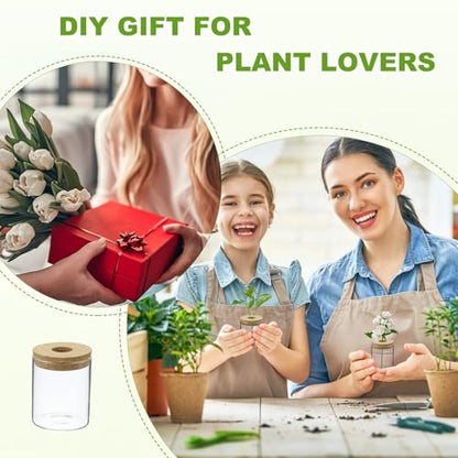 M METERXITY 1 Pack Glass Planter Terrarium with Wooden Cover, Desktop Plant Propagation Station Clear Vase for Hydroponic Plants Propagation/Home Garden Decor/Plant Lover [3.35'' x 3.94''] - size: 3.35'' x 3.94''