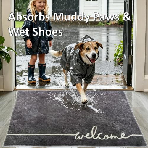 Washable Indoor Door Mat, 24"x36", Low-Profile Soft Surface Entrance Mat, Durable Stain & Fade Resistant, Non-Slip Absorbent Backing, Easy Clean Welcome Doormat for Home Indoor Entryway - size: 2' x 3' (Rectangular)