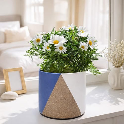 D'vine Dev 2-Pack Cachepot with Clear Pot, 6.5 in, Cobalt Canyon, 93-V-C-3 | Dual-Pot System, Root Visibility, Bottom Watering Support, Enhanced Drainage, Artistic Stoneware Design, Easy Plant Care - color: Cobalt Canyon, size: 6.5” Cachepot + 6“ Clear Gr