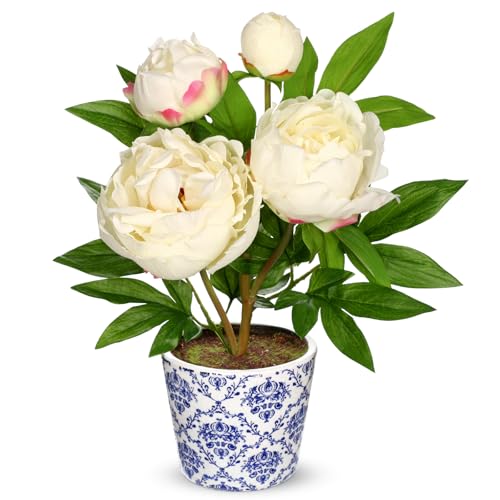 Briful Faux Peony Flowers in Blue and White Ceramic Pot 13.8" Realistic Silk Peonies Artificial Peony Floral Arrangement Fake Potted Flowers for Home Office Room Desk Shelf Decoration(White) - color: White