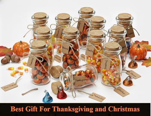 Small Glass Jars with Lids – Set of 12 Mini Glass Bottles with Corks for Halloween Decorations Fall Décor Wedding & Party Favors, Halloween DIY Crafts, Potions, Spices & Candy, 3.4 oz