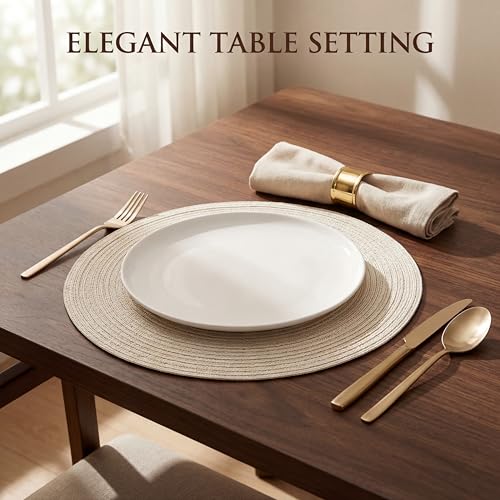 FunWheat Round Braided Placemats Set of 6 Easy Clean Place mats for Dining Tables Woven Heat Resistant Washable Table Mats 15 inches(Beige) - color: Multi Beige, size: 6pcs