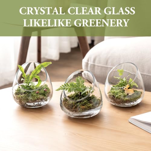 MyGift 5 Inch Premium Clear Glass Air Plant Terrarium, Tealight Candle Holder, Succulent Cactus Plant Vase, Set of 4 - size: Set of 4 (Slanted)