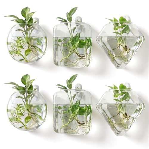 LemonRoad 6 Pcs Wall Hanging Glass Wall Hanging Planter Propagation Station Terrariums Clear Glass Vase Container for Hydroponic Plant Home Office Living Room Bathroom Garden Decor