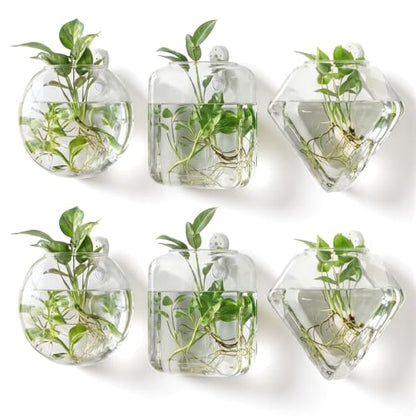LemonRoad 6 Pcs Wall Hanging Glass Wall Hanging Planter Propagation Station Terrariums Clear Glass Vase Container for Hydroponic Plant Home Office Living Room Bathroom Garden Decor