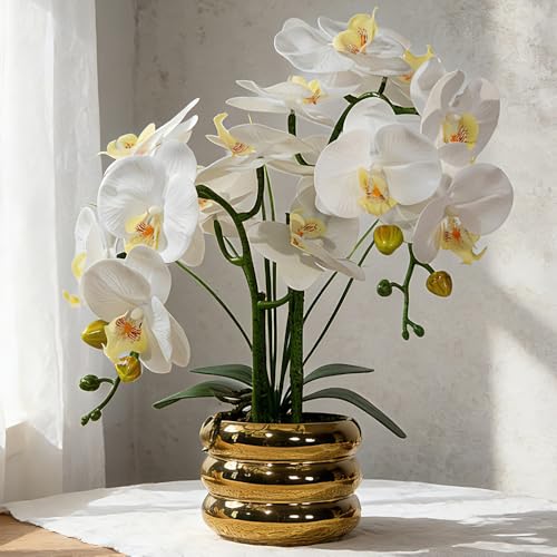 White Real Touch Orchid Artificial Flowers with Vase for Table Centerpieces, Real Touch Faux White Orchid Phalaenopsis in Ceramic Pot for Home Wedding Kitchen Decoration (Gold Vase, White) - color: Gold Vase, White
