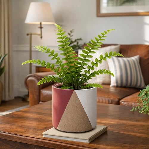 D'vine Dev 2-Pack Cachepot with Clear Pot, 6.5 in, Crimson Dune, 93-V-C-4 | Dual-Pot System, Root Visibility, Bottom Watering Support, Enhanced Drainage, Artistic Stoneware Design, Easy Plant Care - color: Crimson Dune, size: 6.5” Cachepot + 6“ Clear Grow