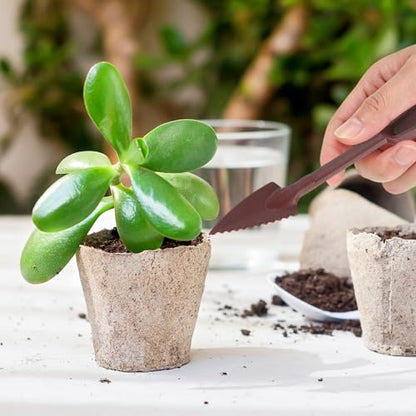 M METERXITY 2-Set Succulent Tools, Plastic 2-in-1 Mini Garden Shovel Hand Succulent Transplanting Tools Garden Shovel Transplant Trowel for Planting/Digging/Aerating/Sowing [Brown] - color: Brown