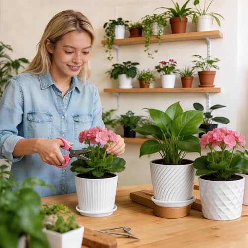 sietpoek 5.5” Ceramic Plant Pots with Drainage and Saucer 4PCs White | White Ceramic Flower Pots with Drainage Hole and Saucer, Decorative Planter for Indoor Outdoor Garden Plants Succulen - size: 5.5 Inch