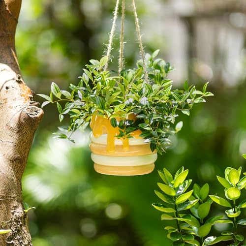 Bee Hanging Planter Gifts for Women: Ceramic Flower Pot with Drainage - color: Milky White & Beige-honey Jar