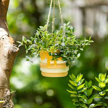 Bee Hanging Planter Gifts for Women: Ceramic Flower Pot with Drainage - color: Milky White & Beige-honey Jar