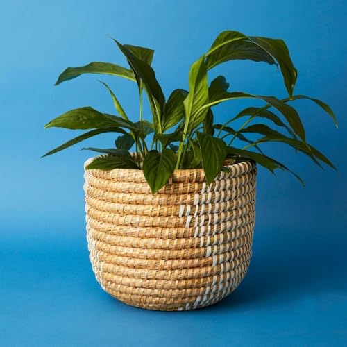 Small Grass Gold Ribbon Basket (14" Large) - size: 14" Tall