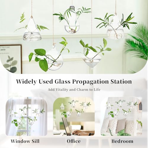 Glasseam Hanging Plant Propagation Station: 5Pcs Small Glass Terrarium Jars | Hydroponic Planters for Indoor Pothos Cutting Propagate, Home Wall Window Decor, Handmade, Gifts for Plant Lovers