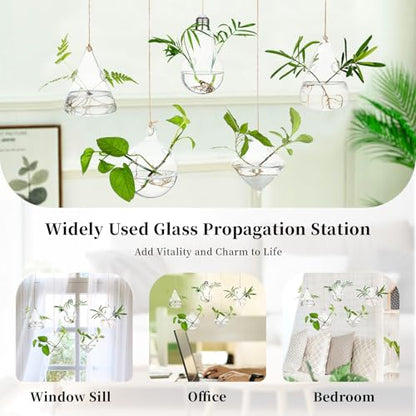 Glasseam Hanging Plant Propagation Station: 5Pcs Small Glass Terrarium Jars | Hydroponic Planters for Indoor Pothos Cutting Propagate, Home Wall Window Decor, Handmade, Gifts for Plant Lovers