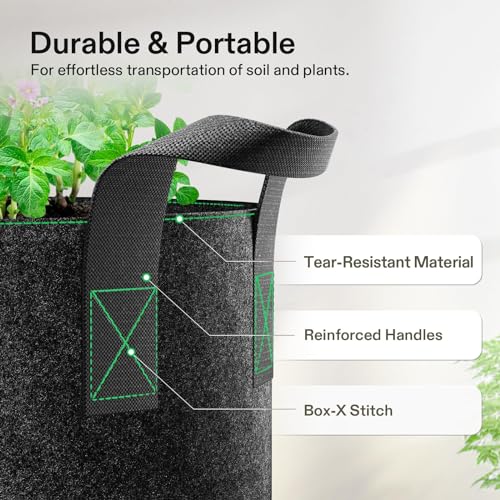 VIVOSUN 10-Pack 15 Gallon Plant Grow Bags, Heavy Duty Thickened Nonwoven Fabric Pots with Handles - color: Black, size: 15 Gallons (Pack of 2)