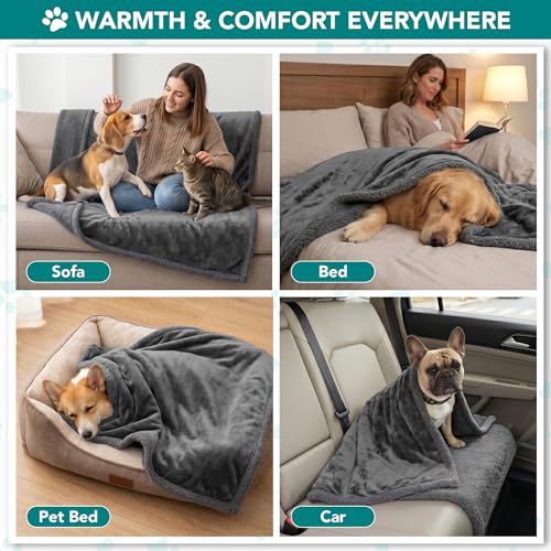 PetAmi Dog Blanket Small Medium Pet Cat Puppy Kitten, 40x29 Mini Solid Gray | 460 GSM, Soft Sherpa Fleece Throw, Reversible Plush Couch Cover Protector Crate Carrier Sofa Bed Car Seat, Machine Washable - color: Gray/Gray Sherpa, size: Medium - 29 X 40 Inc