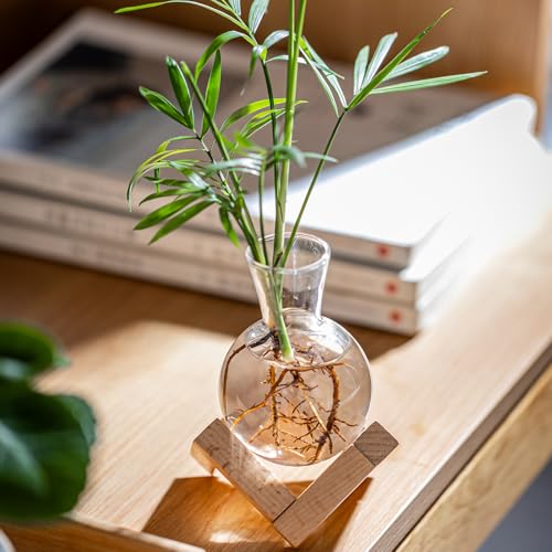Propagation Stations, Propagation vases with Wooden Stand, Small Tabletop Glass Bulb Vases for Hydroponics Plant Propagation Station Home Office Decoration, Gift for Women Plant Lovers (2)