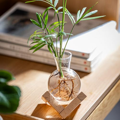 Propagation Stations, Propagation vases with Wooden Stand, Small Tabletop Glass Bulb Vases for Hydroponics Plant Propagation Station Home Office Decoration, Gift for Women Plant Lovers (2)