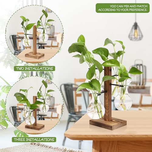 Plants Propagation Stations Bulb Glass Propagation Birthday Gift for Women | Garden Plant Lovers - 4 Bulb - color: Transparent