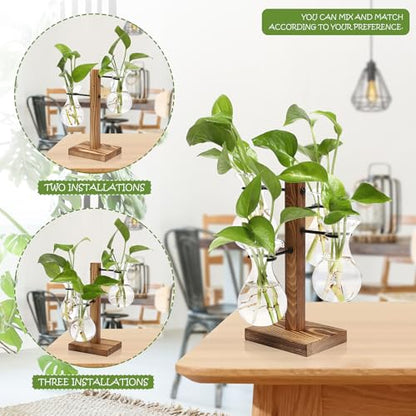 Plants Propagation Stations Bulb Glass Propagation Birthday Gift for Women | Garden Plant Lovers - 4 Bulb - color: Transparent