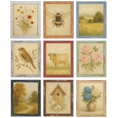 8x10 Rustic Farmhouse Picture Frames with Vintage Prints, Set of 9 | Distressed MDF wood-look frames in assorted colors with acrylic fronts for gallery walls, shelves, desks, or tabletops - color: Multicolour 9, size: 8x10