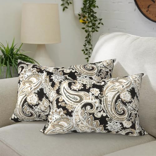 DYTXIII Pack of 2 Waterproof Outdoor Lumbar Pillow with Inserts, 12x20 in Rectangle Decorative Patio Throw Pillow for Home, Sofa,Bench and Patio Furniture, Paisley Black - color: Paisley Black, size: 12x20 Inch (With Inserts)