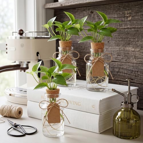 15 Pack Plant Propagation Stations with Hole Lid Tag,Cylindrical | 4.05'' Glass Propagation Jars, 4 oz Clear Hydroponic Planter Vase Bulk for Plant Lovers, Indoor, Office, Home, Garden