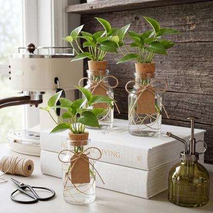 15 Pack Plant Propagation Stations with Hole Lid Tag,Cylindrical | 4.05'' Glass Propagation Jars, 4 oz Clear Hydroponic Planter Vase Bulk for Plant Lovers, Indoor, Office, Home, Garden
