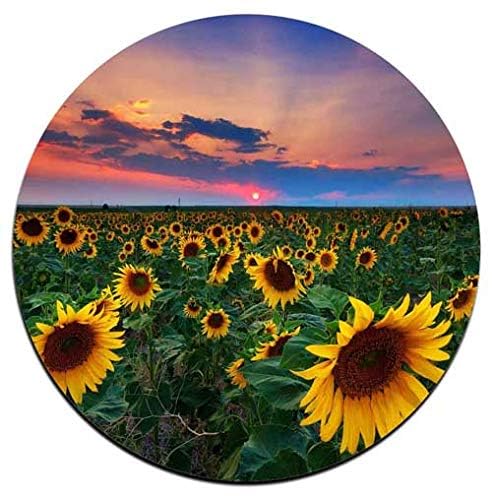 Sunflower Round Coaster Set - Made of Recycled Rubber - Set of 4 - color: Sunflower