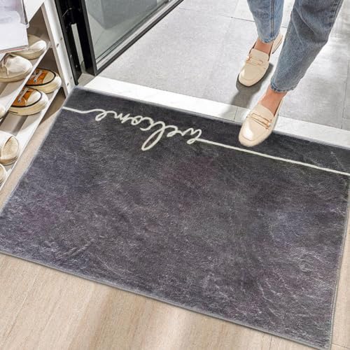 Washable Indoor Door Mat, 24"x36", Low-Profile Soft Surface Entrance Mat, Durable Stain & Fade Resistant, Non-Slip Absorbent Backing, Easy Clean Welcome Doormat for Home Indoor Entryway - size: 2' x 3' (Rectangular)