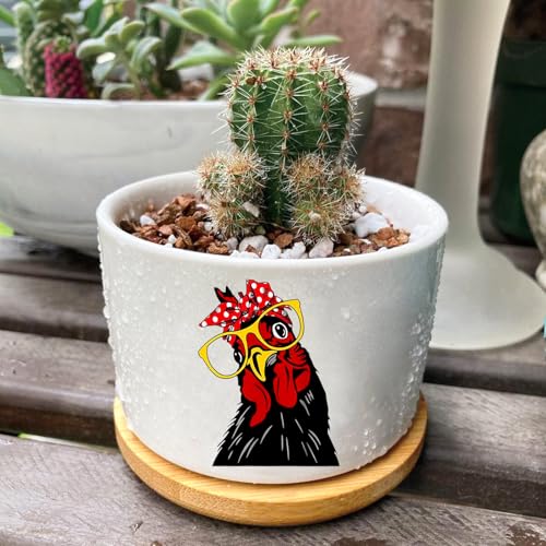 1Pcs Rooster Succulent Pots with Drainage and Bamboo Tray, Ceramic Pot | 3 Inch Small Planters for Plants,Cactus,Decoration for Office Home,Garden,Windowsill,Gifts for Women Mom (No Plants Included) - style: Rooster