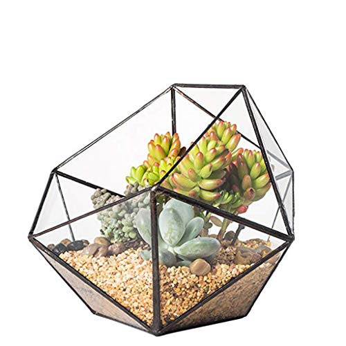 Glass Terrarium Storage Box Jewelry Holder Glass Geometric Tabletop Succulent Plant Box Planter Holder for Case Black Go - color: Gold