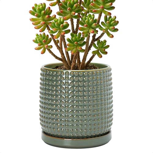 D'vine Dev Beaded Ceramic Pot with Saucer, 6 in, Olive, 27-C-X-0 | Embossed Dot Texture, Smooth Glazed Finish, Timeless Vintage Charm, Drainage Holes, Stylish Accent for Modern Home Décor - color: Olive, size: 5.8 Inch