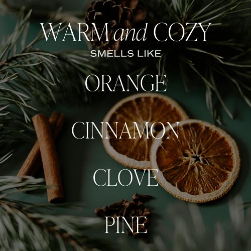 Sweet Water Decor Warm and Cozy Reed Diffuser Set - Orange, Cinnamon, Clove, and Pine Fall and Winter Scented Diffuser - Scent Diffusers for Home, Long Lasting Fragrance, Made in the USA - style: Warm and Cozy